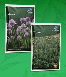 Herb Seeds UK Delivery - Great Herb Plants Seeds
